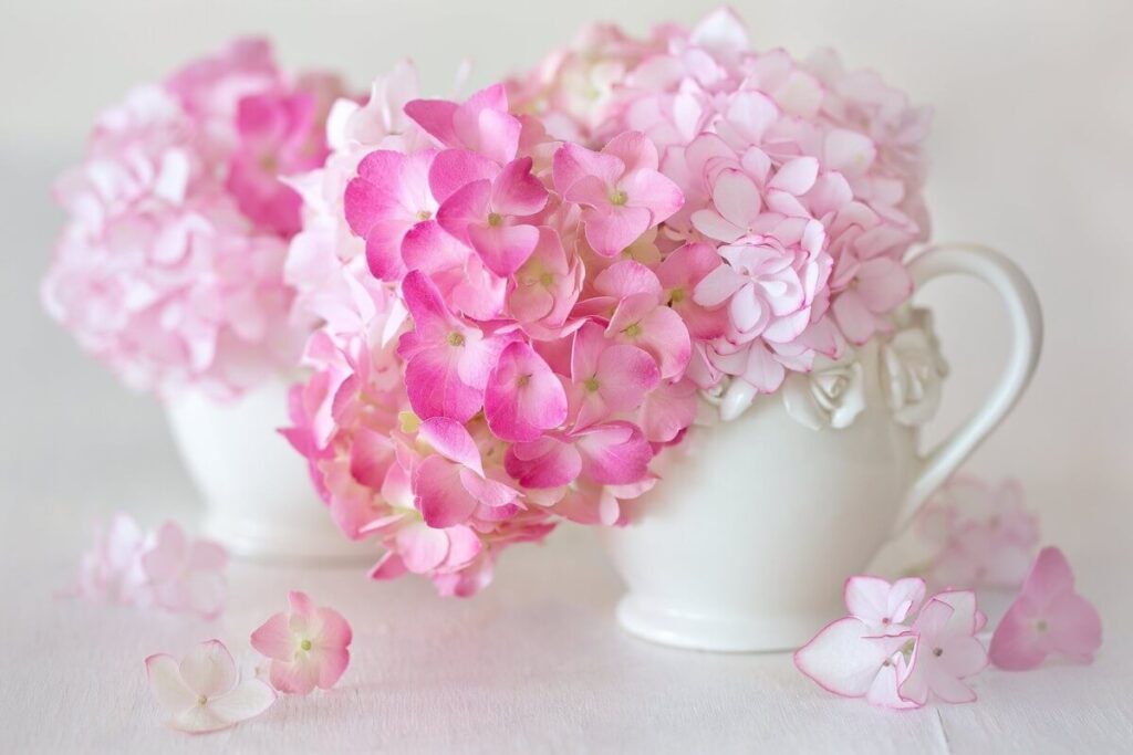 Beautiful Mother's Day Flowers