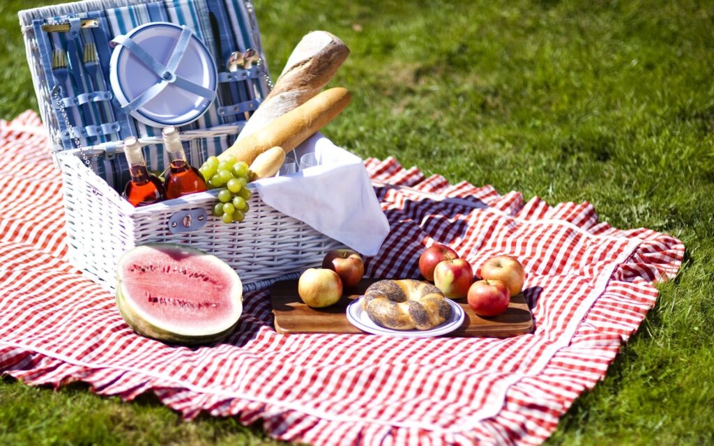 Best Picnic Sets